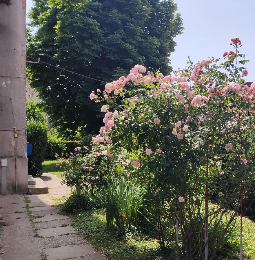 Appartement Petit Coco à Zagreb Extérieur photo